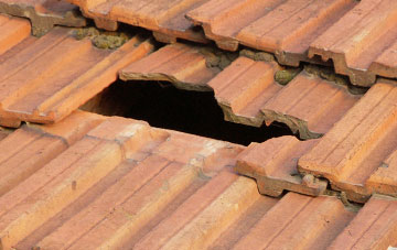 roof repair Holdgate, Shropshire
